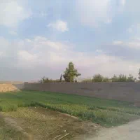 فروش زمین باغی