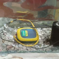 اکواریوم