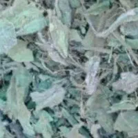 خریدار گاوزبان