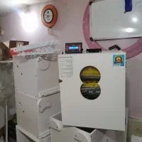 دستگاه جوجه کشی بامنو انتخابی طبقاتی