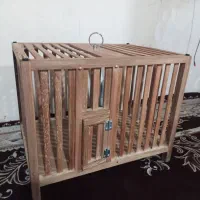 قفس پرنده