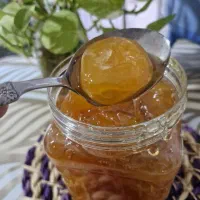 مربای زردآلو
