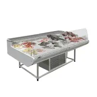 یخچال مرغ و ماهی انجماد (مه پاش)
