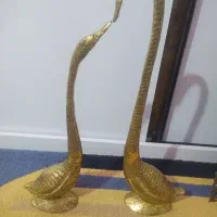 دوعدد قو برنز