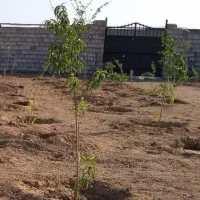 ۳۰۰ متری چهار دیواری روستای گلزار
