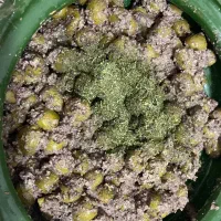 غذا آماده و‌نیمه آماده فود گاردن