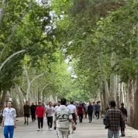 راهپیمایی و همنورد