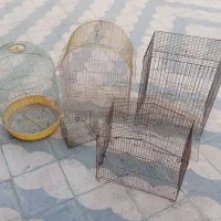 قفس پرنده