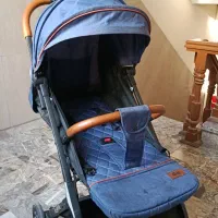 کالسکه مسافرتی مخصوص اربعین