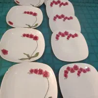 یک سری لوازم آشپزخانه شیک ومجلسی موجود