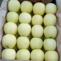 کارگر