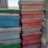 کندو خالی و تعدادی رمکه و نیم طبق