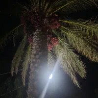 باغ اجاره می کنم