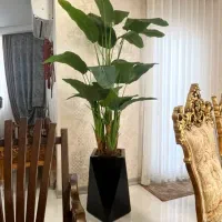 فروش تخفیفی درختچه مصنوعی پرنده بهشتی به قیمت عمده