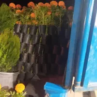 حمل بار با نیسان