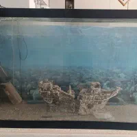 اکواریوم درجه یک