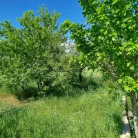 باغ-زیبا