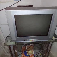 تلویزیون