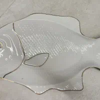 دیس ماهی