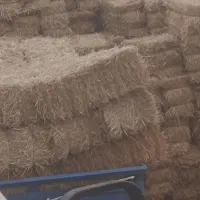 کاه عدل گندم