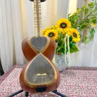 تار تک مهر با هارد کیس