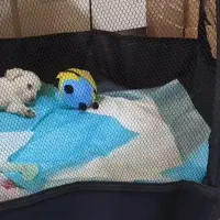 سلام یک عدد سگ اشپیتز پامر