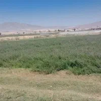 ۲ هکتار زمین با چاه عمیق سند۶دانگ کاظم ابادبیلوردی