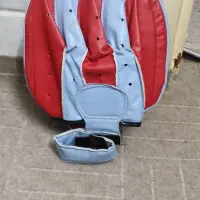 میت پنجه ای