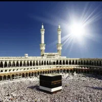 فروش فیش عمره