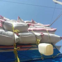کا گندم نرم برای فروش در سراسر کرمان