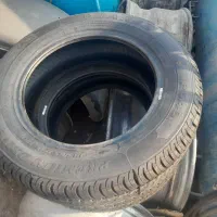 لاستیک بارز ۱۵