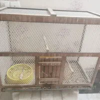 قفس انواع مختلف پرنده، گربه، سگ