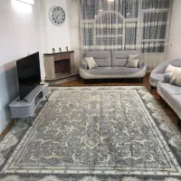 یک عدد فرش ۱۲ متری پتینه طرح افشان