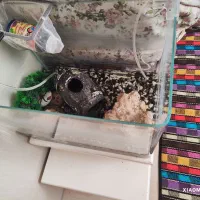 اکواریوم شیشه خم با لوازم