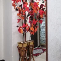 درختچه پایزی
