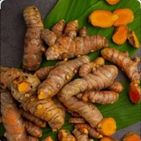 زردچوبه درجه ۱