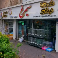 کارگر برای انبار دان پرنده