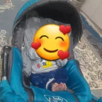روروک مامالاو   کریر