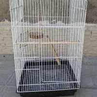 قفس کاسکو