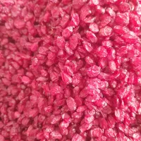 زرشک پفکی تازه ارسالی