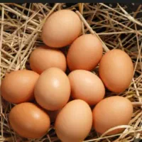 تخم مرغ محلی،