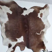 یک جفت پوست کلکسیونی بزرگ