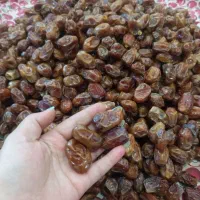 خرما شکلاتی طبس