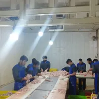 تعدادی کارگرساده و پوست کن بیخص کارمرغ نیاز مندیم|استخدام صنعتی، فنی، مهندسی|رباط‌کریم, |دیوار