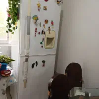 یخچال فریزر دونار