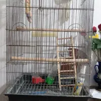 قفس پرنده