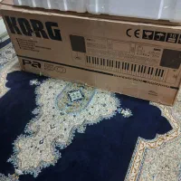 فروش کارتن ارگ pa50