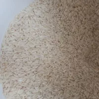برنج شمال هاشمی