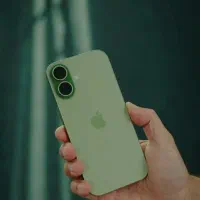 17Normal