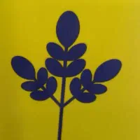 رنگ مو قیمت عمده